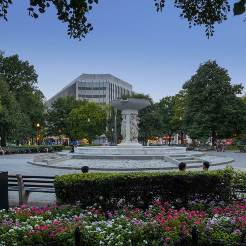 The Dupont Circle Neighborhood